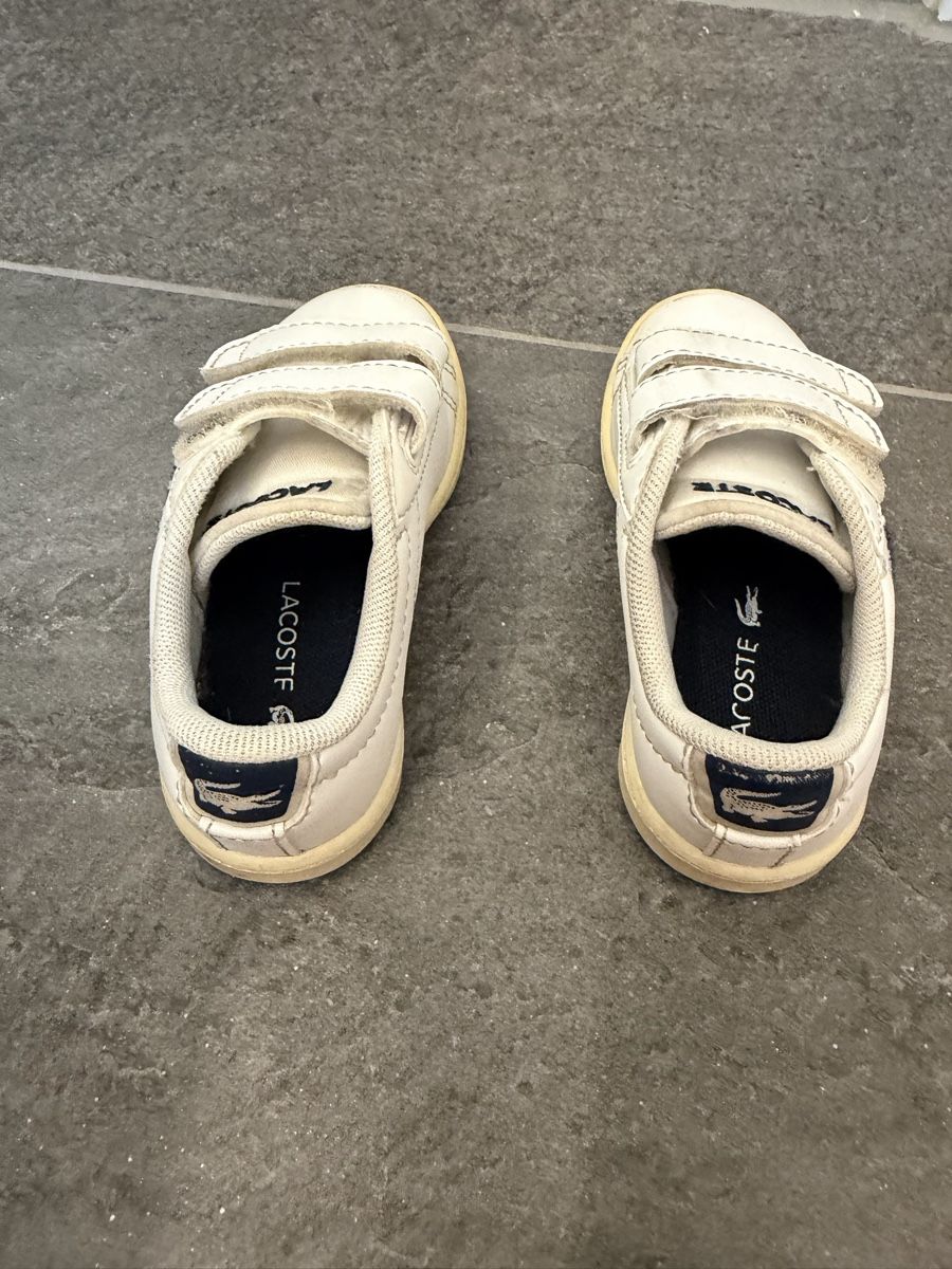 Lacoste Scarpe per ragazzi: Lacoste Sneaker Gr. 22 – Usato da Küsnacht ZH venduto da ToddyGinger 3