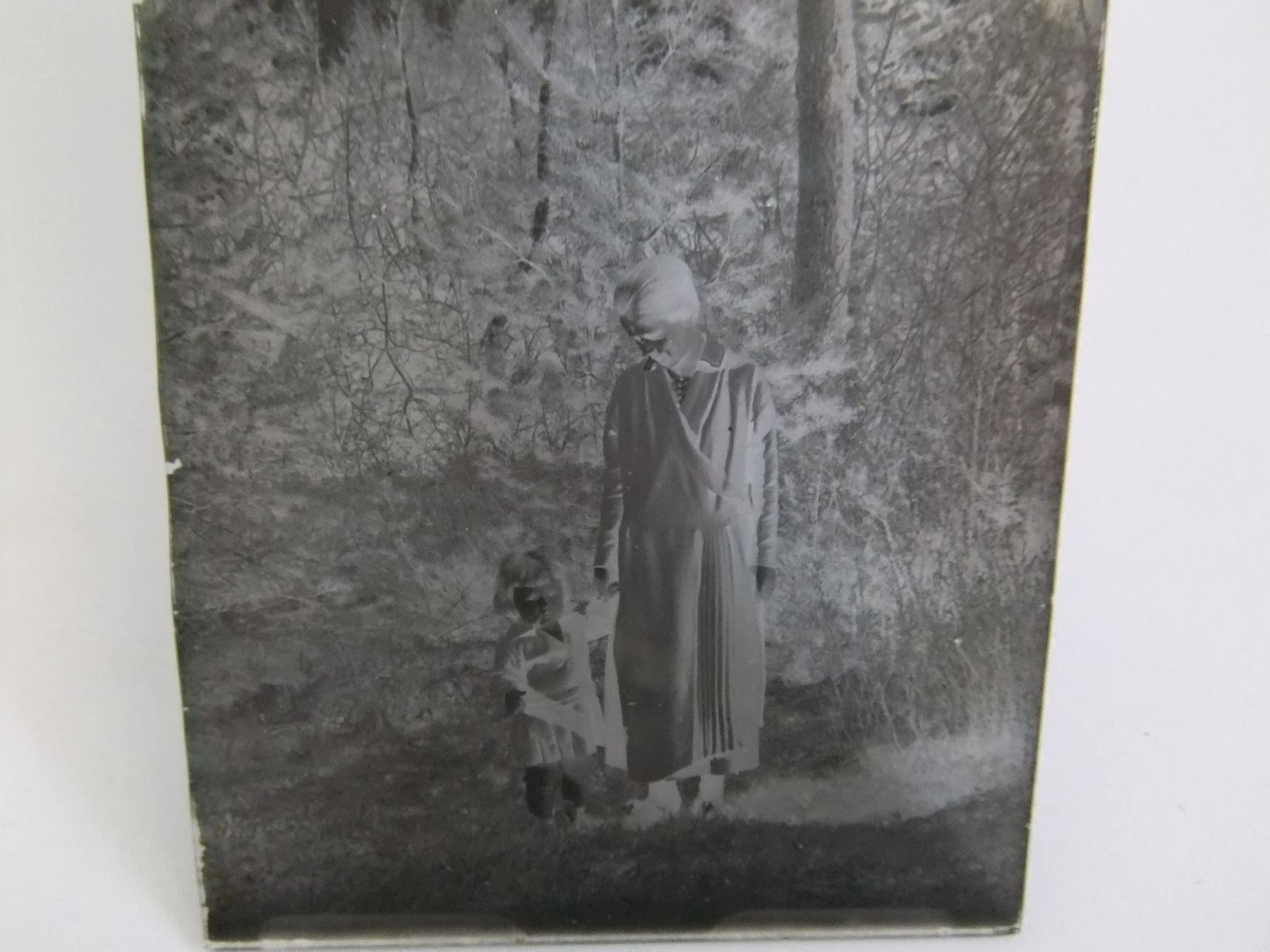 Foto & Immagini: Glasnegative 1904 – Usato da Esslingen venduto da eintagammeer 6