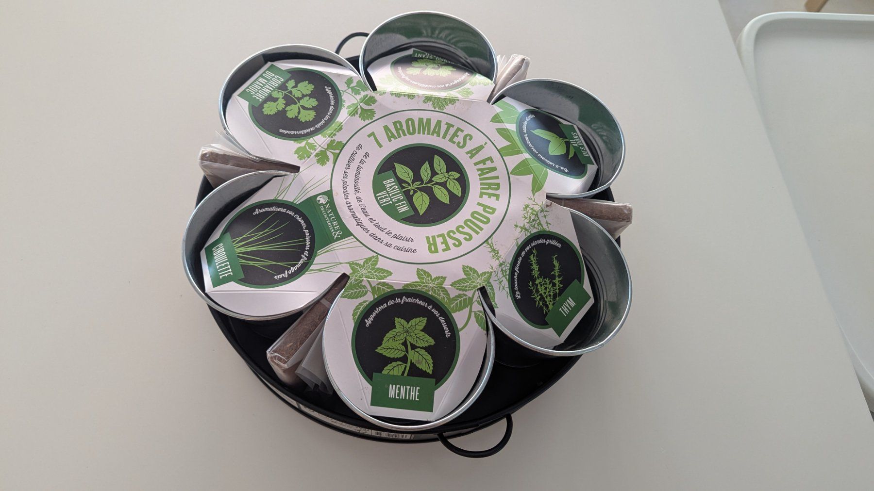 Plantes & graines: Graines plantes aromatiques – Neuf avec emballage d'origine à Pully par dia_6tzd