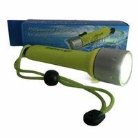 Taucherlampe
