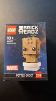 Lego Brick Headz Potted Groot 40671 Marvel Figur OVP