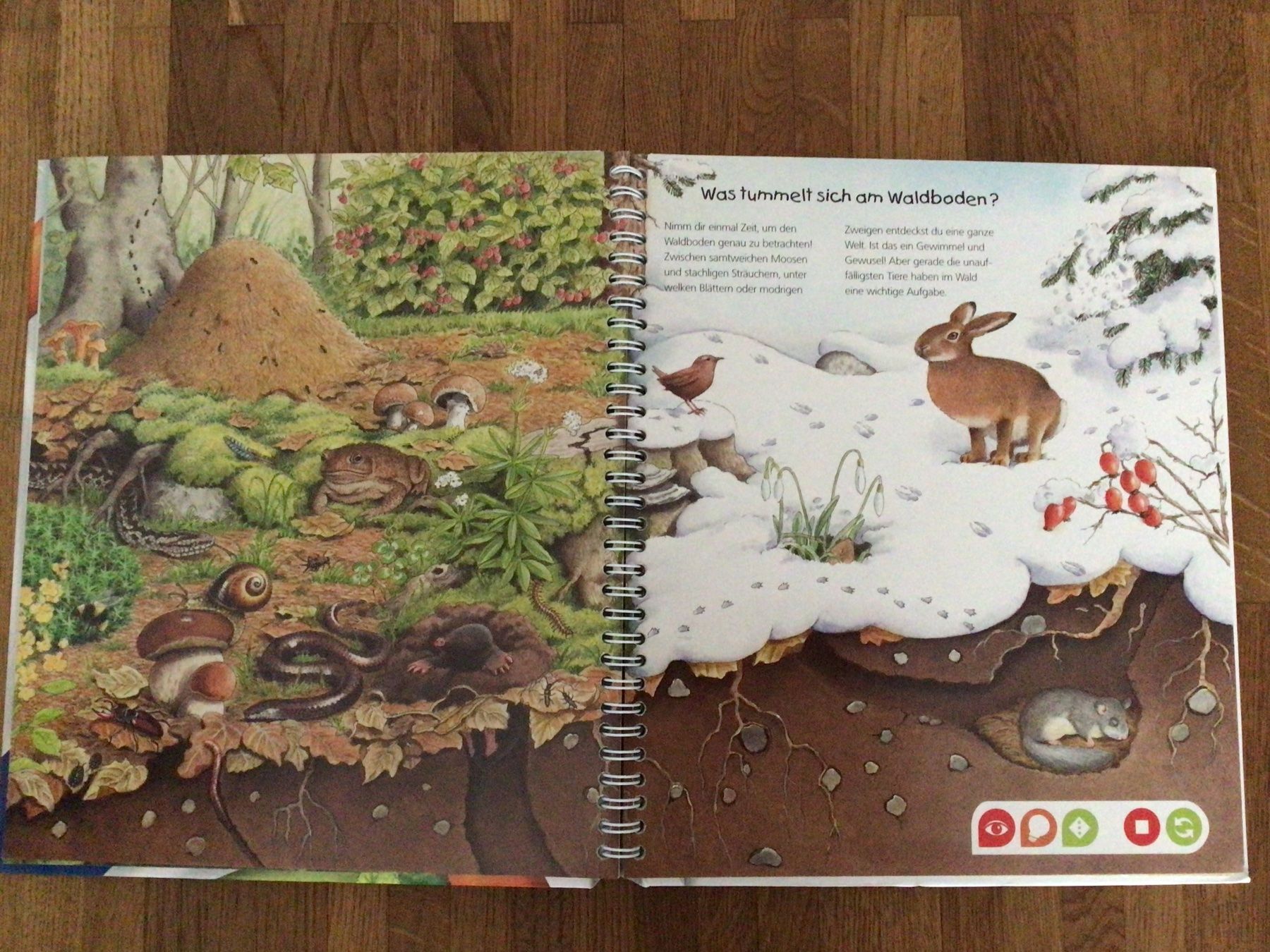 Libri: tiptoi Buch - Komm mit in den Wald – Usato da Roggwil BE venduto da Worni52 2