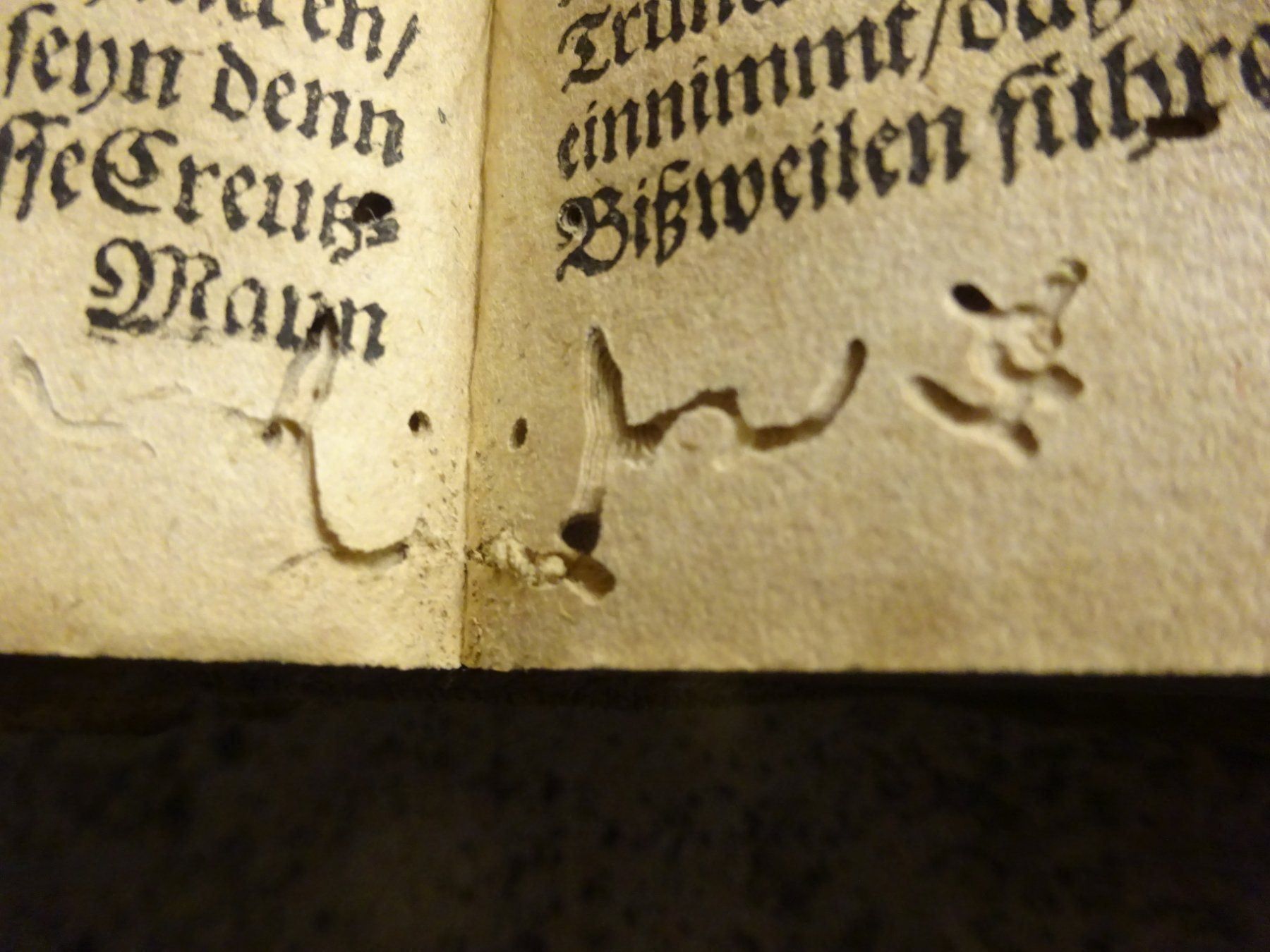 Bücher: GULDENES SCHAZ KAESTLEIN / anno 1686 – Gebraucht aus Esslingen von eintagammeer 6