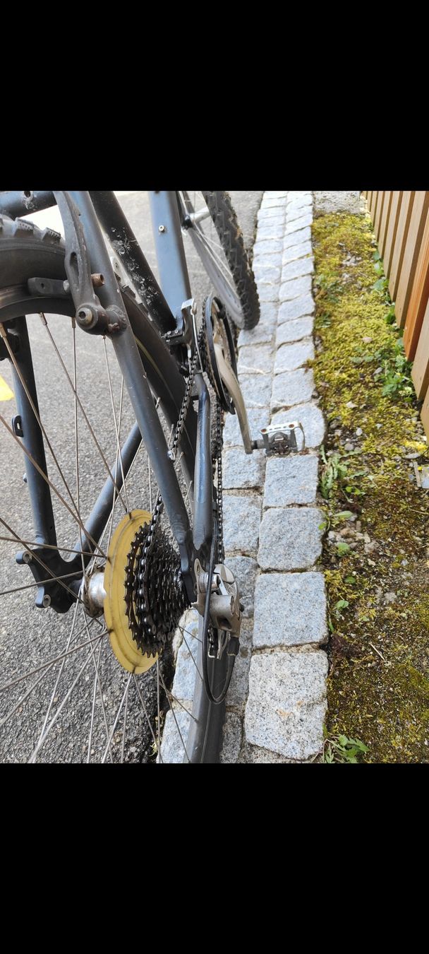 Bixs Biciclette: Velo Bixs – Usato da Hombrechtikon venduto da Linert 1