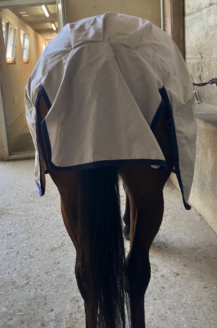 Decken & Deckenzubehör: Bucas regendecke Sun Shower 145cm Warmblut – Gebraucht aus kottwil von opononi 2