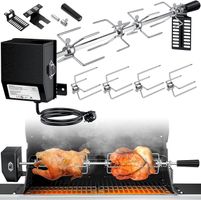 Motor-Grillspieß Set Edelstahl BBQ 116cm