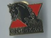 Placchette & Badge: CHI BERN Pferd, Pin – Usato da Zürich venduto da t24_de