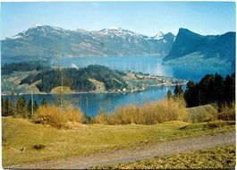 KASTANIENBAUM Blick auf Halbinsel Horw