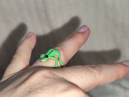 Frosch Ring 🐸 Grössenverstellbar - Super Niedlich 🐸Grün