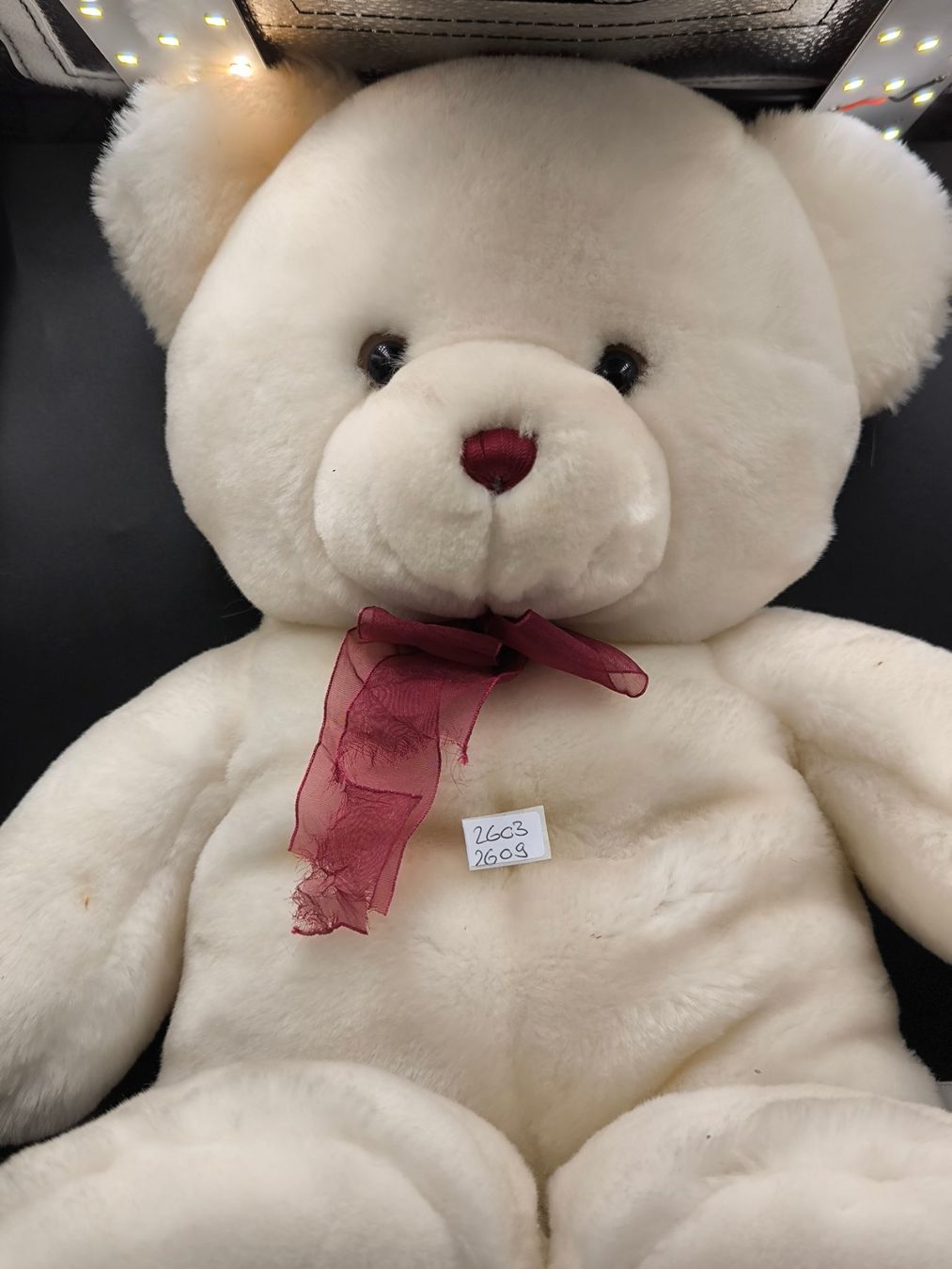 Jouets: Plüsch-Teddybär – D'occasion à Rorschacherberg par snOOpydOg11