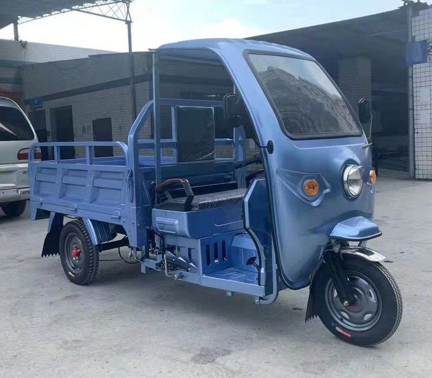 Veicoli elettrici: TUKTUK-Dreirad mit Schweizer Strassenzulassung – Nuovo (secondo la descrizione) da Bünzen venduto da Turbolino5 8