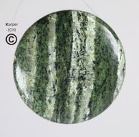 Silberauge Serpentin / Serpentine Oeil d'argent