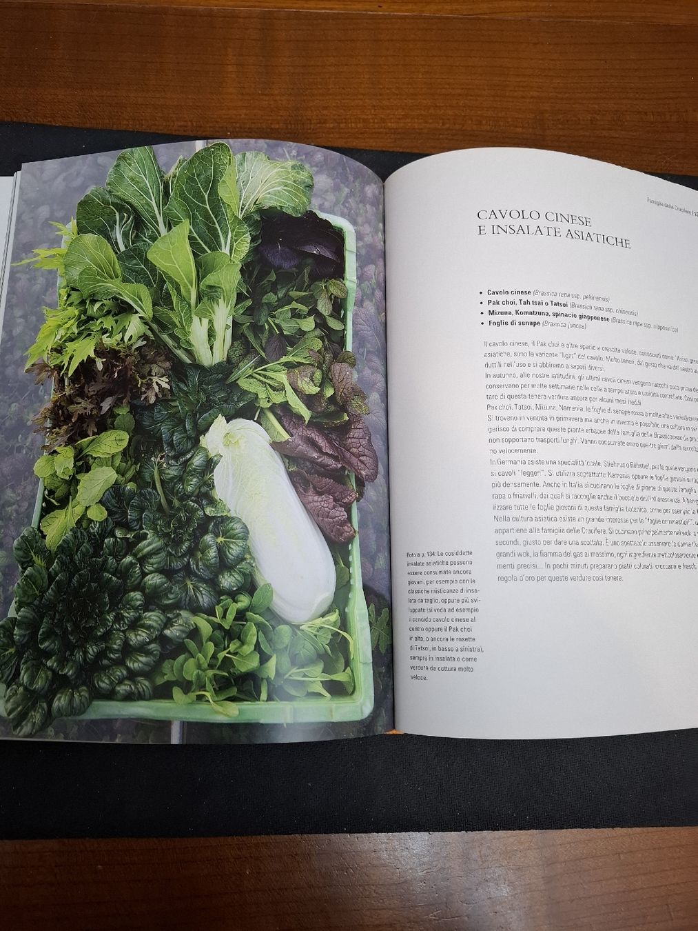 Libri: Libro di cucina di Meret Bissegger – Nuovo (secondo la descrizione) da Viganello venduto da sor_dcq8 2