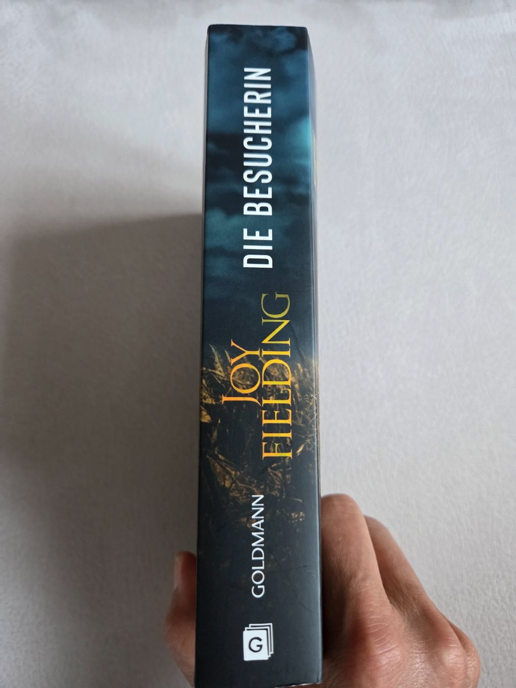 Libri: Joy Fielding: Die Besucherin – Usato da Bergdietikon venduto da Tanne_10 2