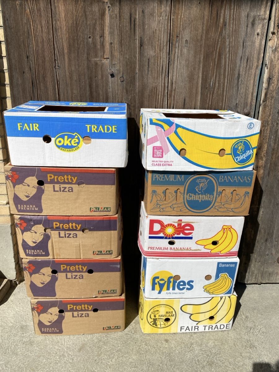 Kartons: 10 Bananschachte,                  – Gebraucht aus Embrach von bea_8424