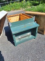 10er Dadant Blatt Bienenstock
