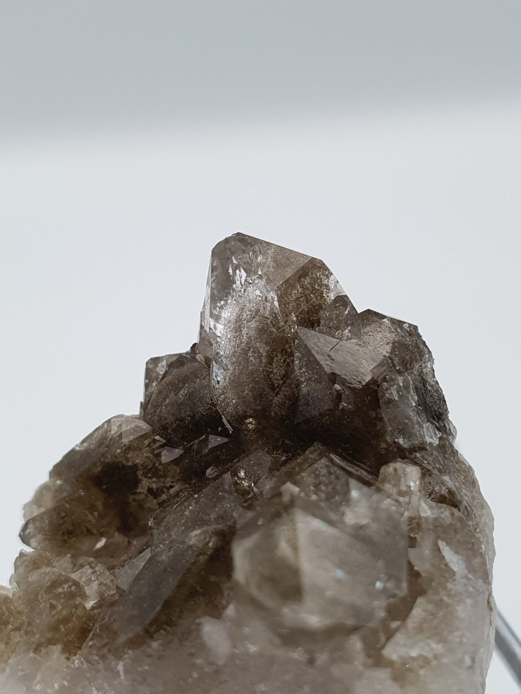 Mineralien & Heilsteine: Phantomquarzstufe – Neu (gemäss Beschreibung) aus Holderbank SO von swiss-minerals 1