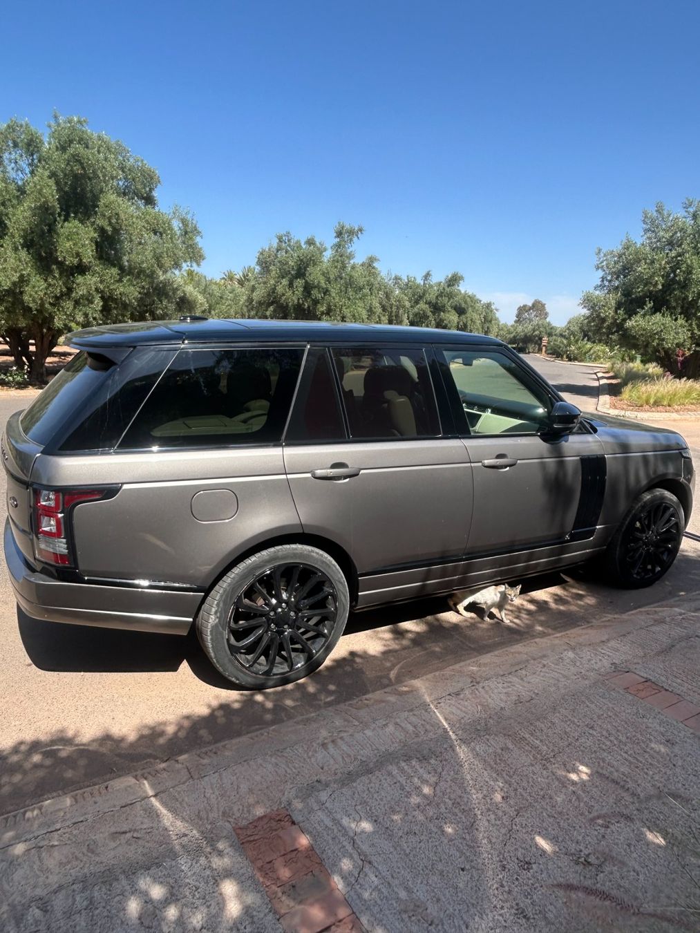 Land Rover Autos: VDS RANGE ROVER – D'occasion à Basel par abv_vqg5 1