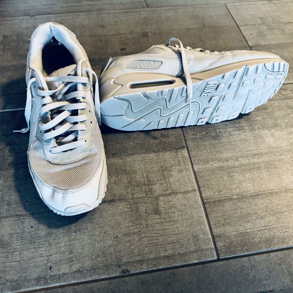 Nike Scarpe da uomo: Nike Air Max 90, Grösse 47.5 – Usato da Ostermundigen venduto da allemend 1