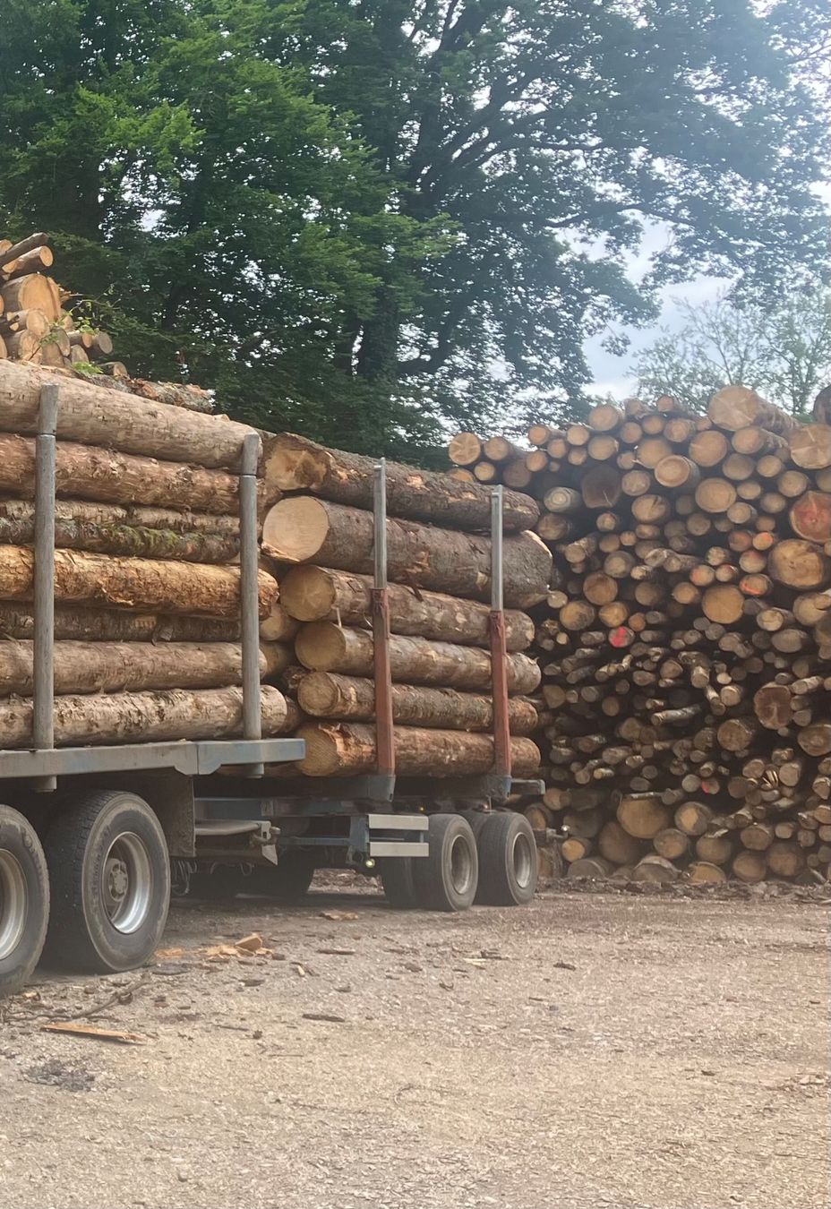 Rimorchi: Forstanhänger/Remorque forestière – Usato da Fleurier venduto da Fleurisan92 8