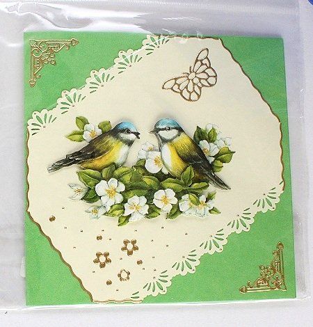 Cartoline: Karte "2 Vögel" – Nuovo (secondo la descrizione) da Schlatt TG venduto da glueckwunschkarte.22