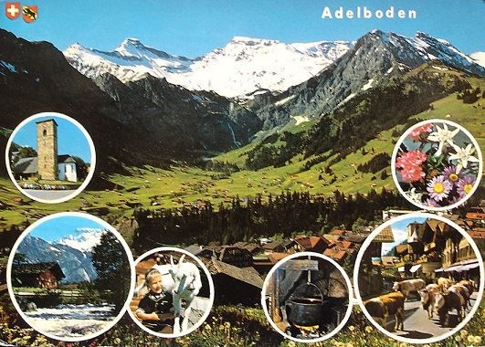 Cartoline postali: ADELBODEN Junge mit Ziege, Kühe – Usato da Jona venduto da philajona