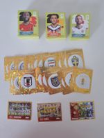 Panini Bilder 2026 300 Stk.