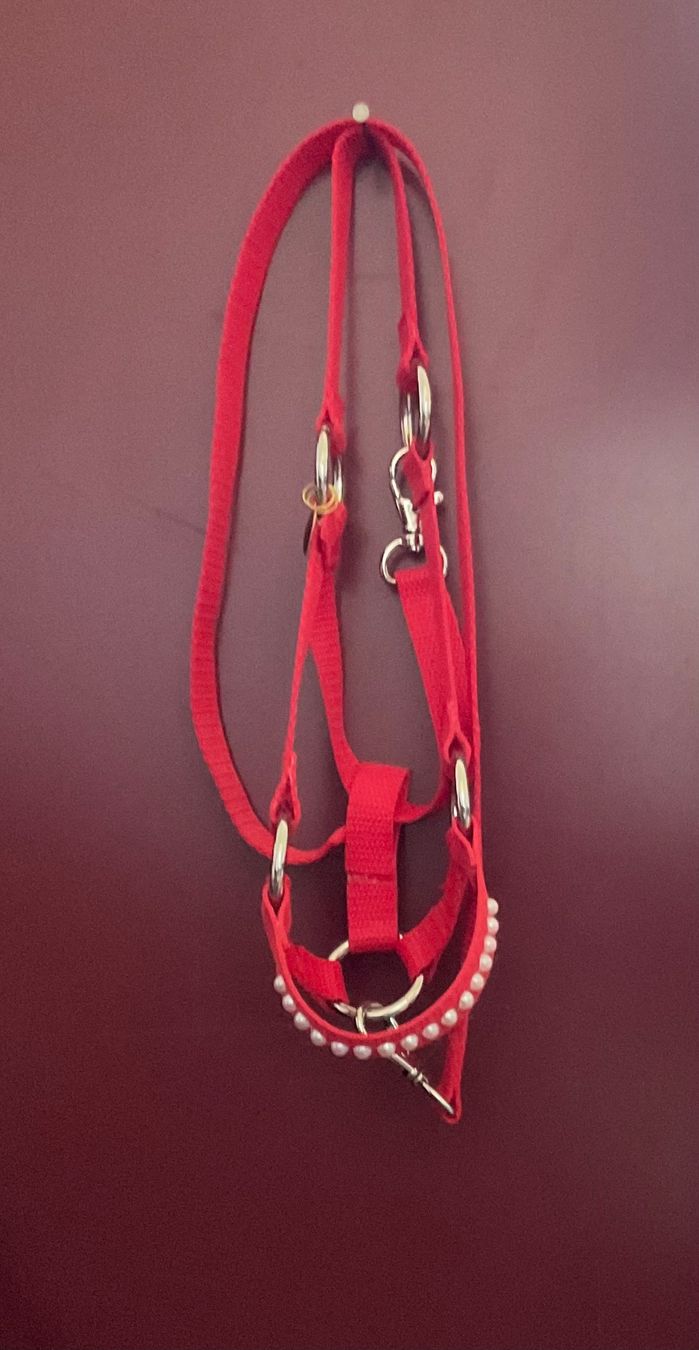 Giocattoli: Hobby Horse Schecke mit Zubehör – Usato da Kilchberg ZH venduto da family-affair 2