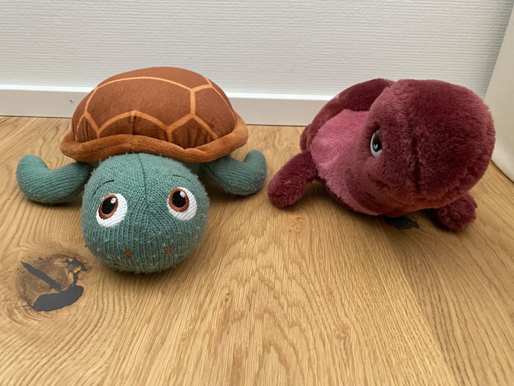 Coop Giocattoli: 2x Plüsch Schildkröte – Usato da Einsiedeln venduto da PaedeK84 1