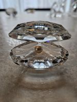 Swarovski Muschel mit Perle, gross 14389