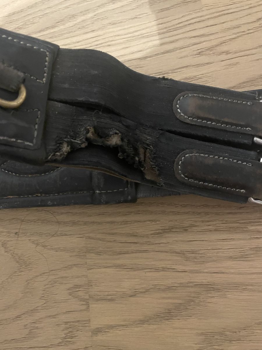 Selle & Accessori: Stollenschutzgurt – Usato da Sargans venduto da Didis 2