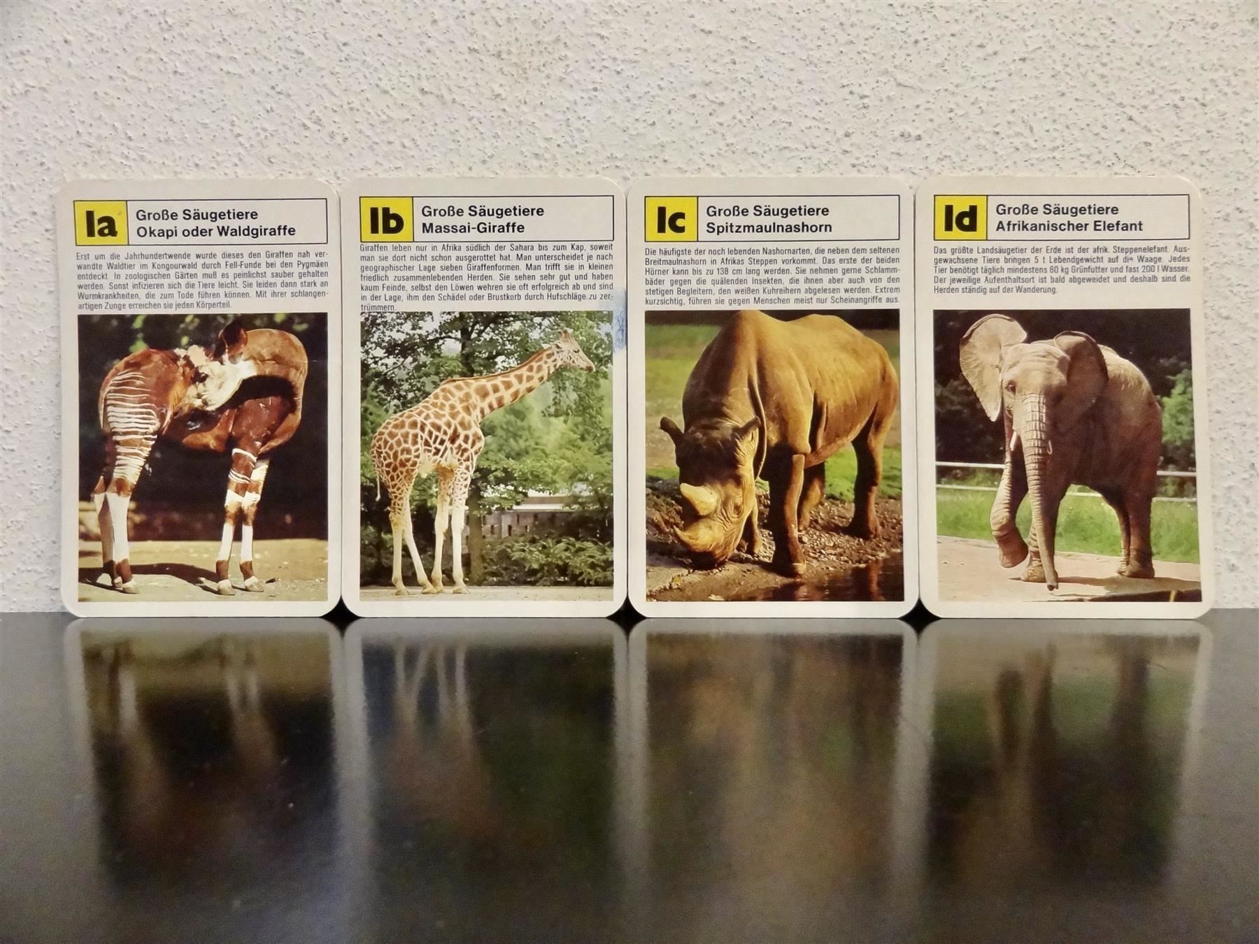 Spiele: Quartett TIER-QUARTETT ZOO-TIERE – Gebraucht aus Kerzers von wisaundso 8