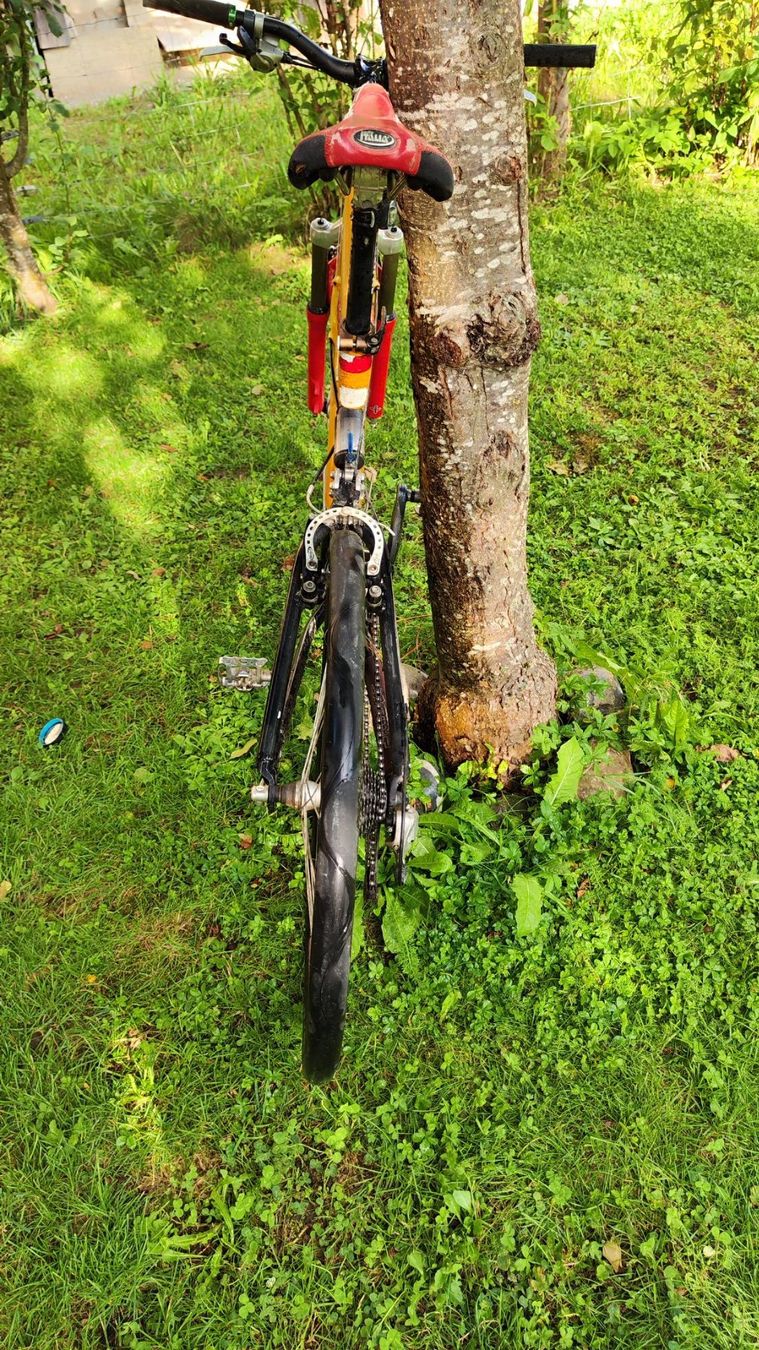 Trek Biciclette: Kultbike Trek Y33 – Usato da Oberneunforn venduto da saloeff 2