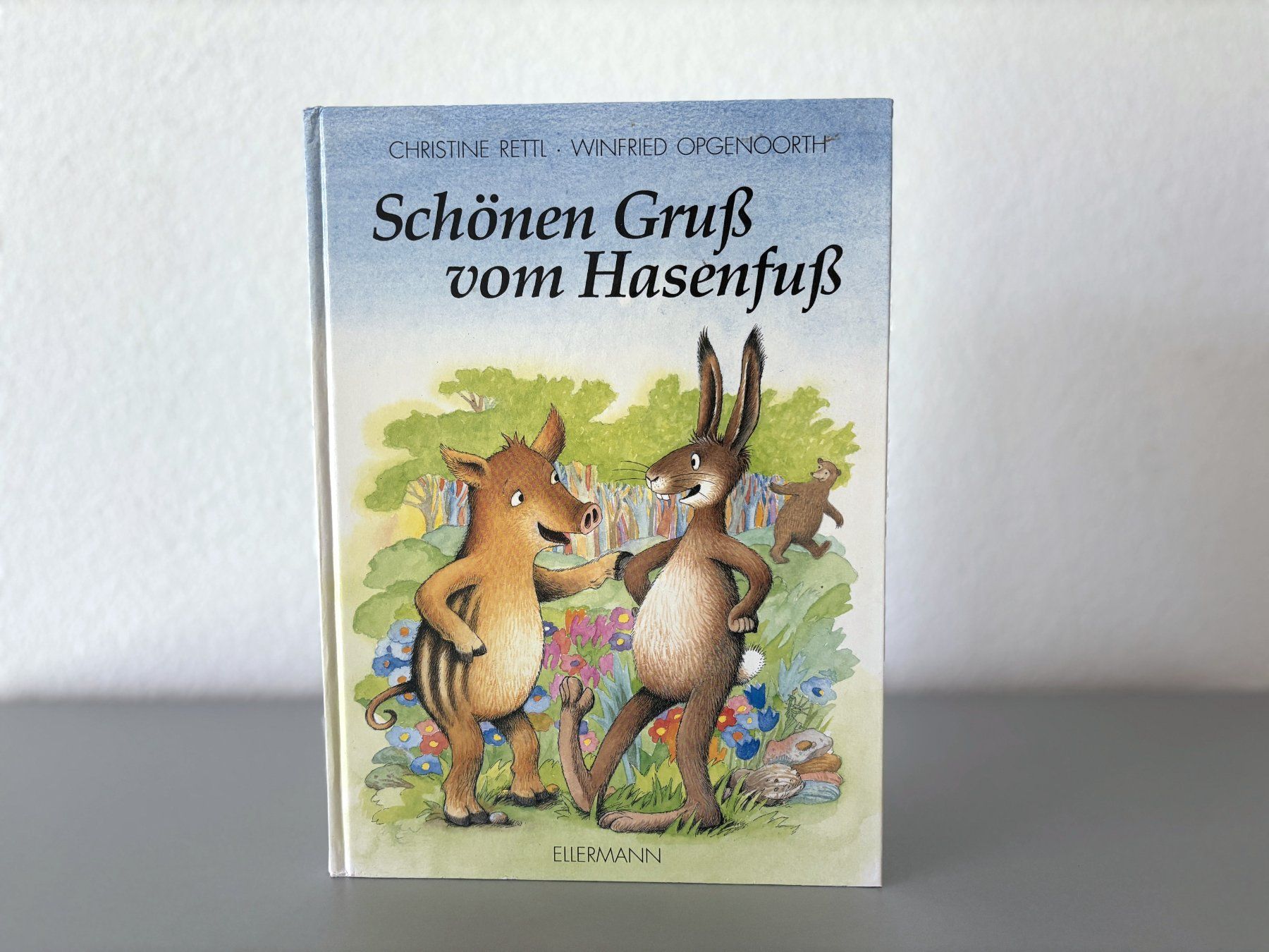 Libri: Kinderbuch Lesenlernen mit Reimen – Usato da Holzhäusern ZG venduto da paula_w