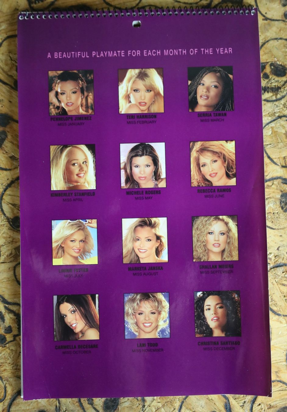 Playboy Kalender: PLAYBOY Kalender 2004 – Gebraucht aus Birrwil von brandschatz_birrwil 6