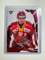 SportZoo Johnny Kneubühler /20
