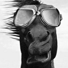 Profile image of minishetty