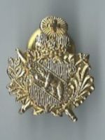 Wappen Bern, Pin