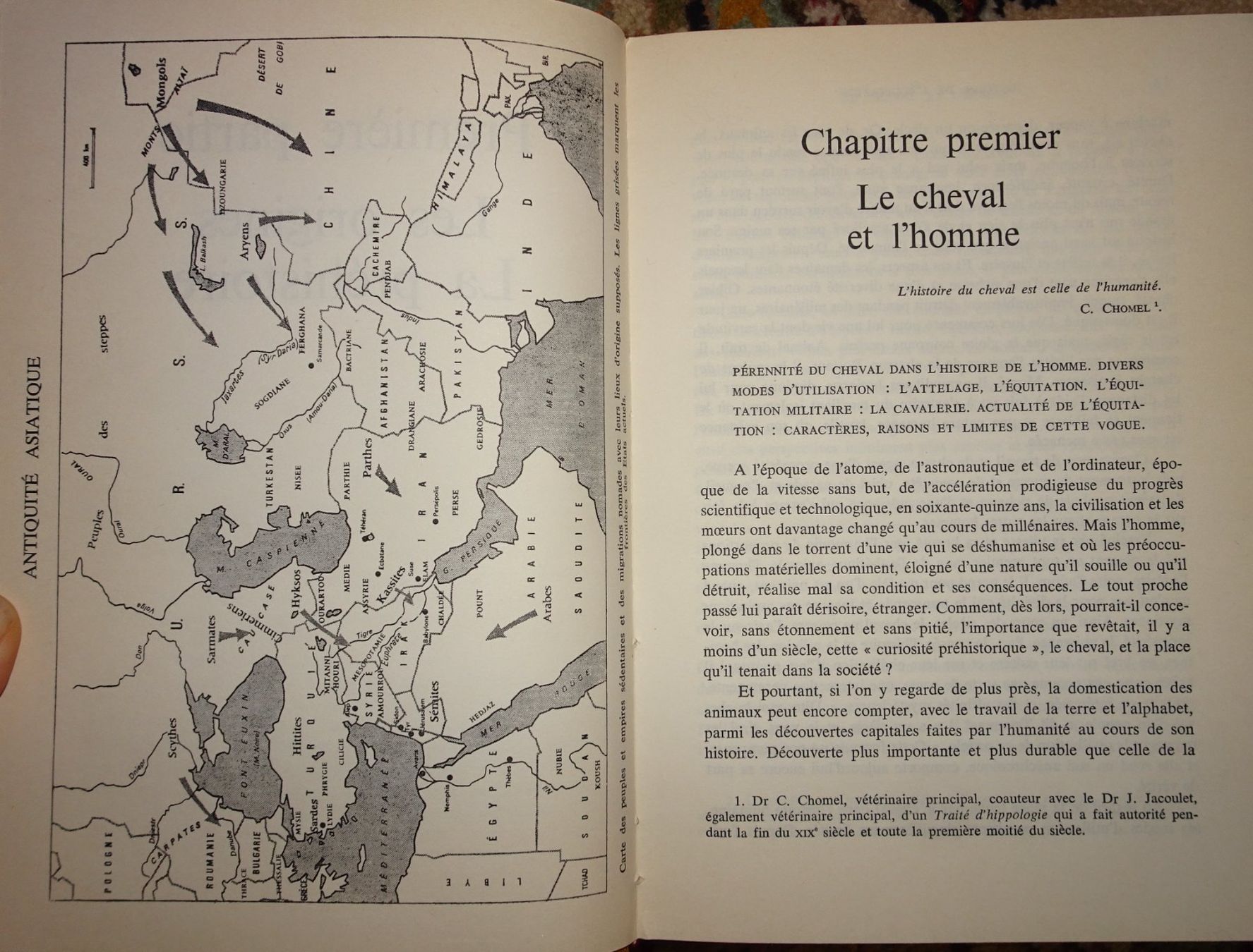 Bücher: Histoire de l'équitation – Gebraucht aus Châtelaine von fil_7lqg 2