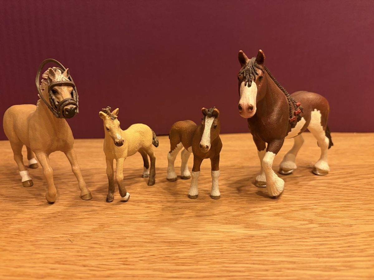 Schleich Spielzeuge: 2 Schleich Pferde, 2 Fohlen 1 Halfter – Gebraucht aus Blumenstein von rumba9