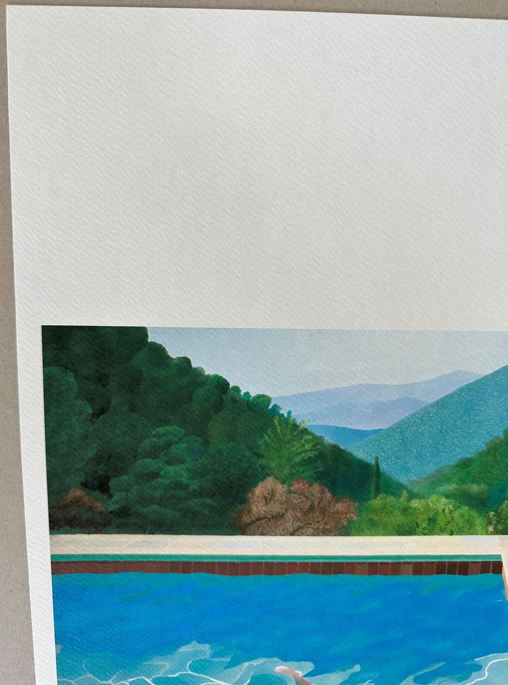Foto & Immagini: David Hockney: Pool with two figures 30/200 – Nuovo (secondo la descrizione) da Meilen venduto da Smgdesign 3