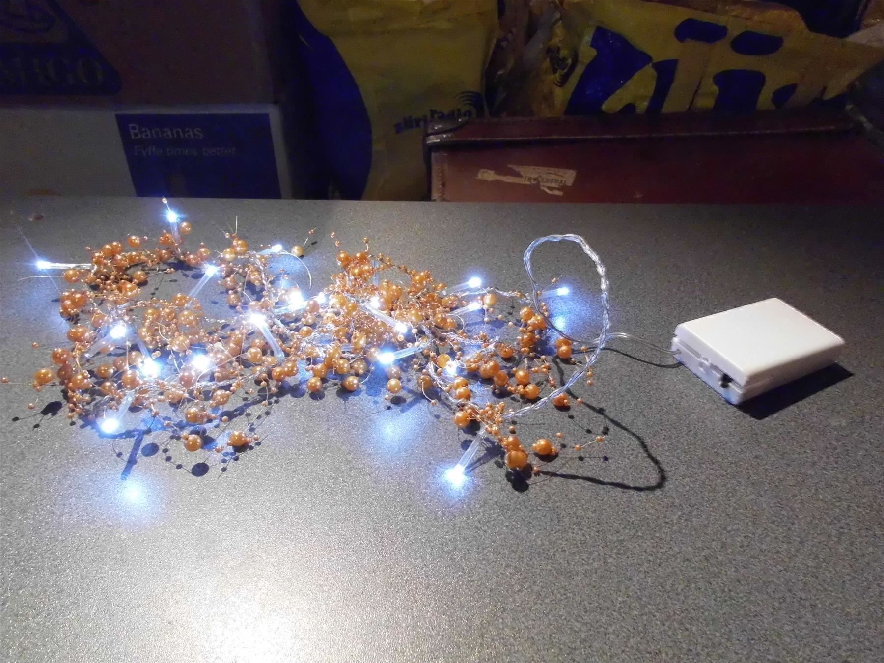 Tutte le decorazioni: Kette mit Lämpchen und goldigen Perle – Usato da Zürich venduto da Motzkuh 2