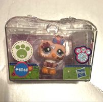 Littlest PetShop hibou