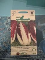 Samen Mauser - Knospe BIO Zichorie Treviso 206TT