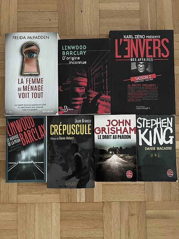 Libri: Lot livres policiers – Usato da Neuchâtel venduto da zib_lzs8