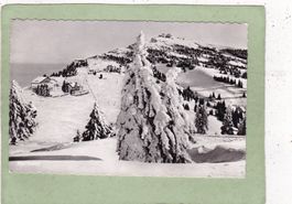 Berghus Rigi Staffel 1952