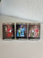 Hall of Fame Aguero/Bergkamp/Ferdinand Topps Premier League