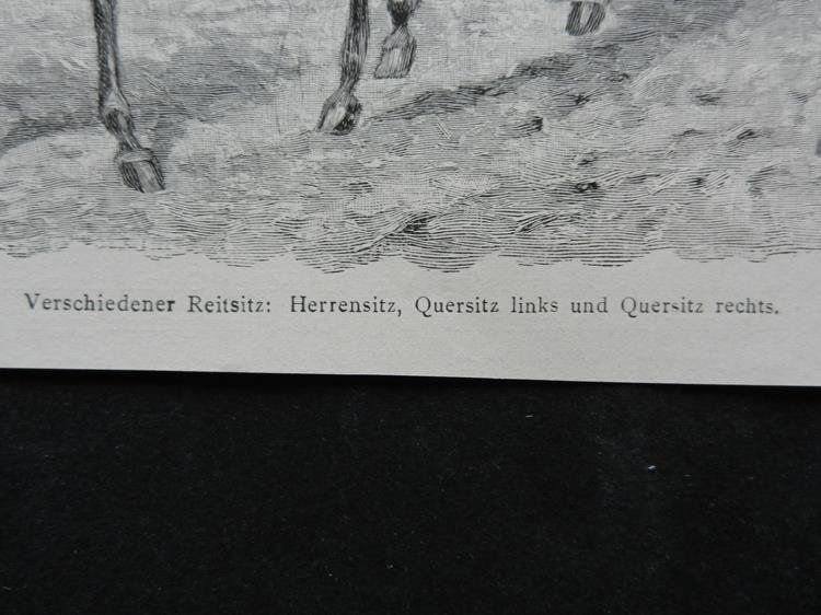 Stiche: Pferde Reitsitze – Gebraucht aus Risch von Rischli15 2
