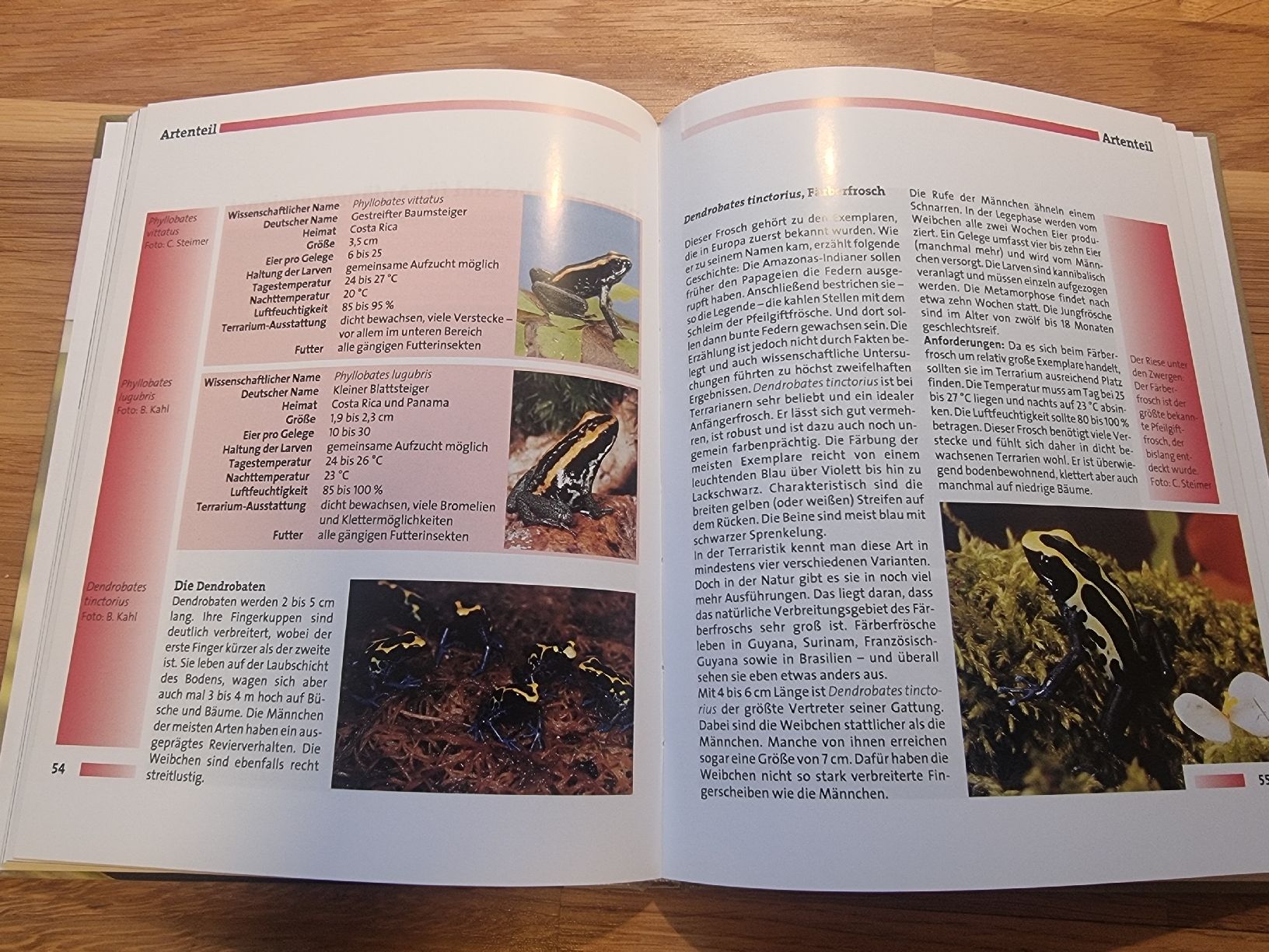 Livres: Pfeilgiftfrösche – Neuf (Voir description) à Derendingen par Sarah.jana 2