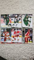 6 cards LINDHOLM,COLEMAN,BACKLUND,SPURGEON,DUMBA,FOLIGNO